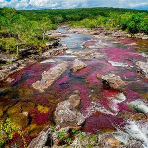 Visual de Arauca