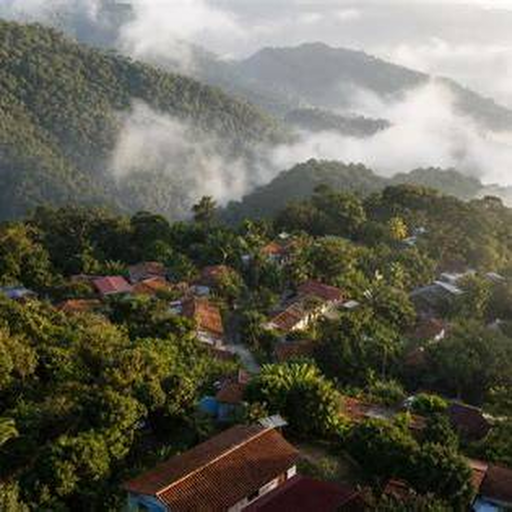 Vista visual de Amazonas